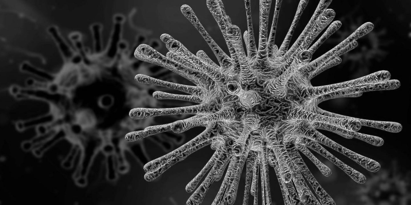 Corona-Virus - Mein Geschäft online - Onlineshops und Onlinekurse für Einzelhandel und Dienstleistungen